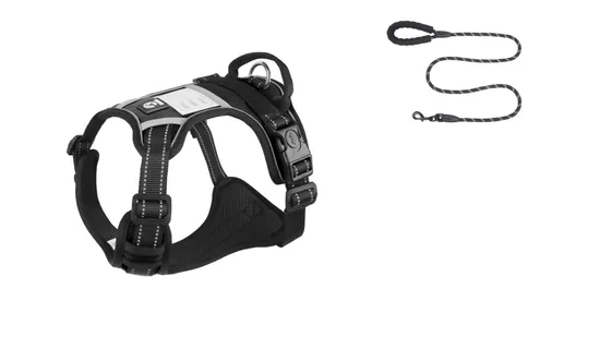 New Pet Chest Belt Vest Type Reflective Large Explosion